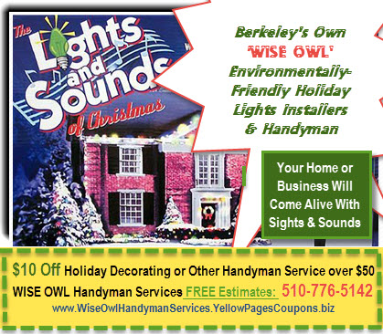 LIGHTS SOUNDS OF XMAS cropped w coupon